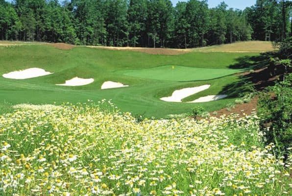 Stonehouse Golf Course 5th hole