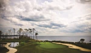 Palmer 4th 800x470 1