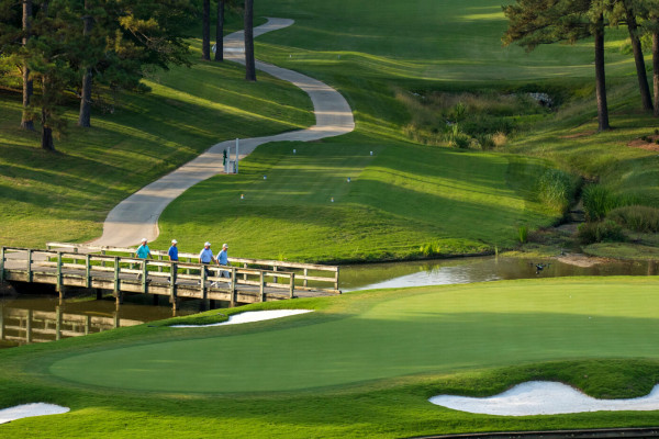 Golden Horseshoe Golf