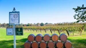 86256b6bb070bcdd82bf275ff291dea3